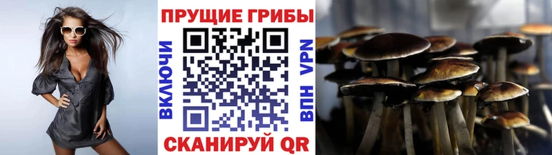 Купить закладки  Берёзовский  Псилоцибиновые грибы ЛСД 